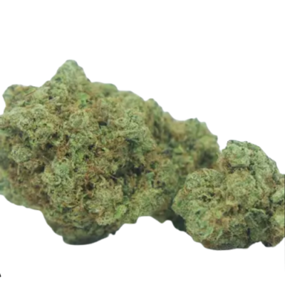 California removebg preview