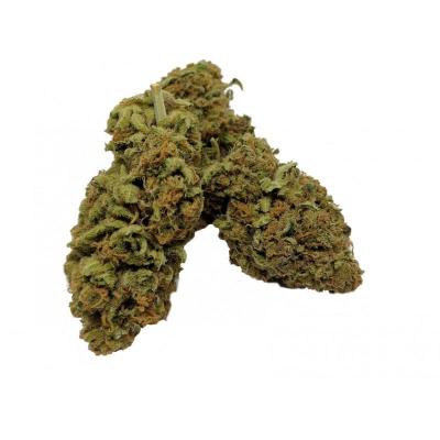 Cannabubble greenhouse cbd