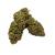 Cannabubble greenhouse cbd