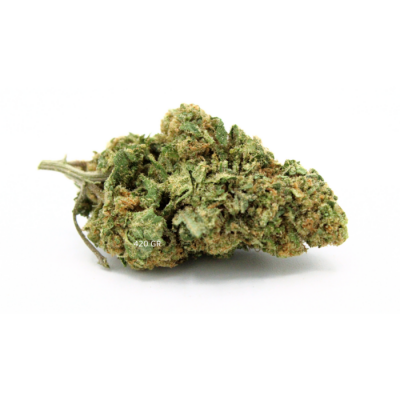 Exodus cheese 700x700