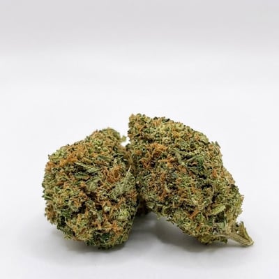 Gelato