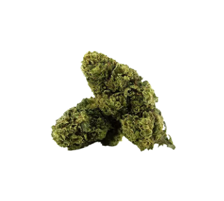 Grenadine removebg preview