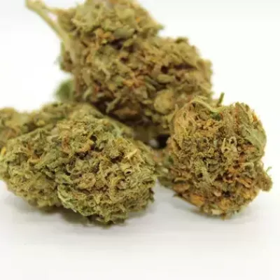 Limoncello hemp flower uk 1024x1024