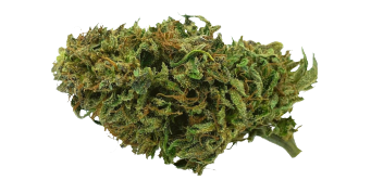 Og kush v2 removebg preview