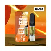 Tengrams cartridges amnesia h4 cbd 1 